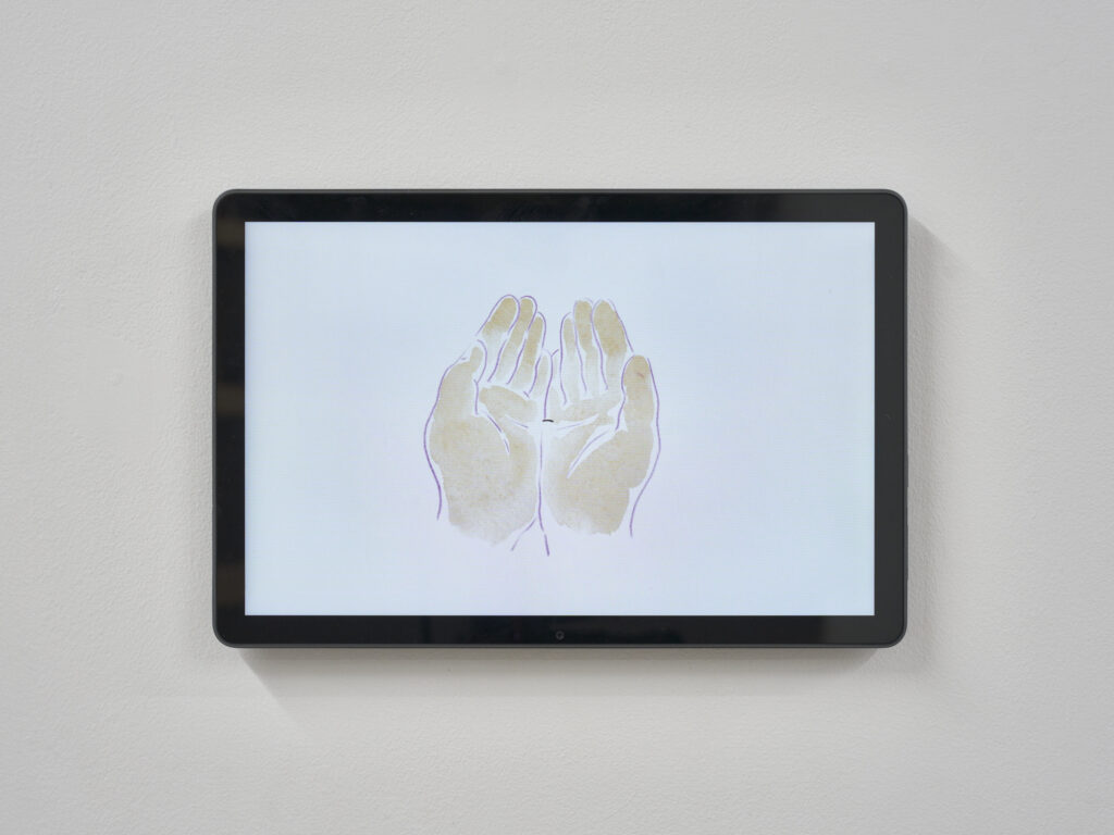 見る・花びらの回転・見せる